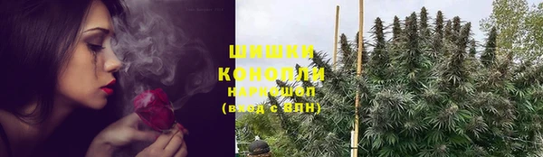 ПСИЛОЦИБИНОВЫЕ ГРИБЫ Гатчина